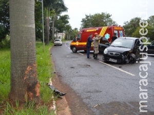Ao cair em buraco, mulher perde controle de carro e bate em coqueiro