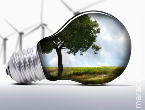 Falta de marco regulatório é entrave para economia verde, diz especialista Falta de marco regulatório é entrave para economia verde, diz especialista