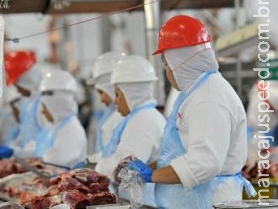 Exportação de industrializados chega a US$ 2,44 bi em 11 meses Exportação de industrializados chega a US$ 2,44 bi em 11 meses