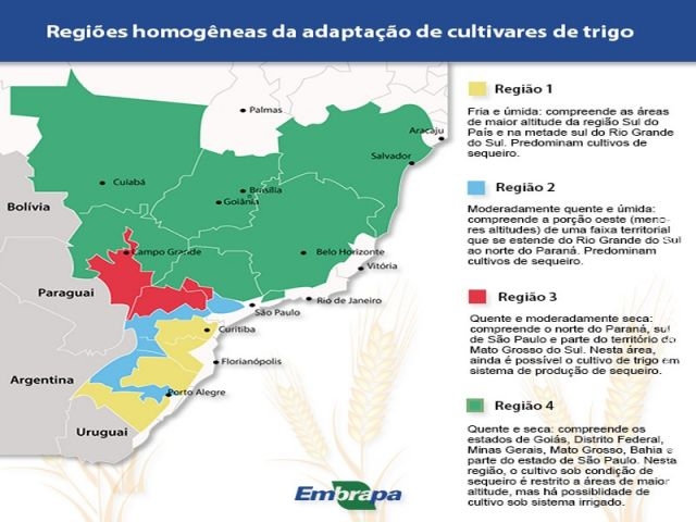Brasil é capaz de produzir além de sua demanda doméstica de trigo Brasil é capaz de produzir além de sua demanda doméstica de trigo