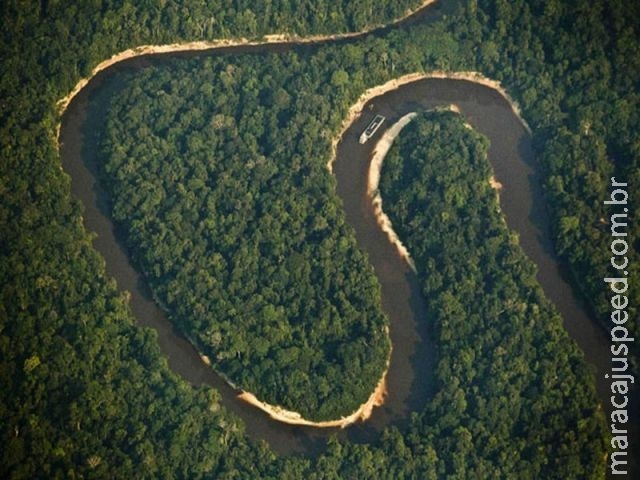 Em um ano, desmatamento na Amazônia cresce 29%, diz Inpe Em um ano, desmatamento na Amazônia cresce 29%, diz Inpe