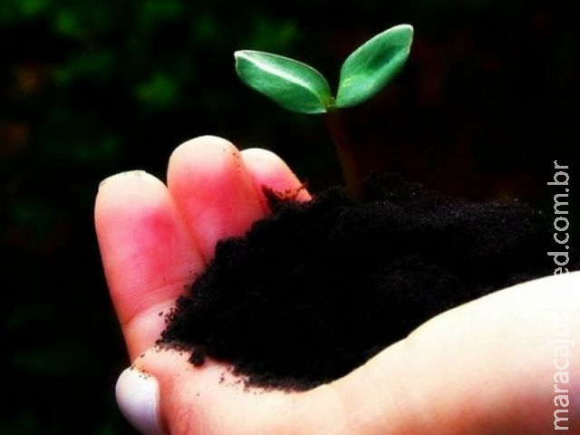 Brasil é campeão em produção agropecuária sustentável Brasil é campeão em produção agropecuária sustentável