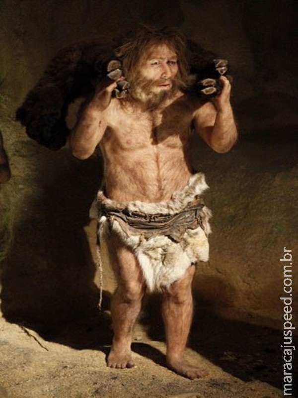 Homens de Neandertal eram canibais, confirma novo estudo Homens de Neandertal eram canibais, confirma novo estudo