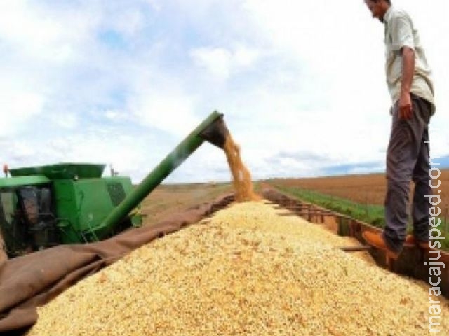 Conab prevê 213,1 milhões de toneladas de grãos de 2016/2017 Conab prevê 213,1 milhões de toneladas de grãos de 2016/2017