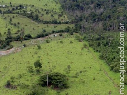 Menos de 1% das propriedades agrícolas detém quase metade da área rural no país Menos de 1% das propriedades agrícolas detém quase metade da área rural no país