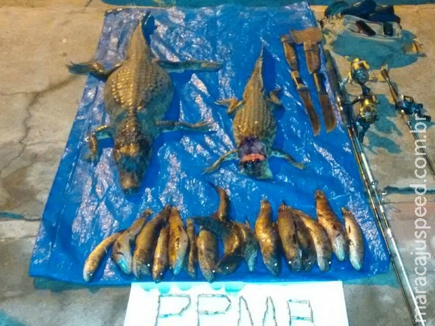 Dois são multados em R$ 3 mil por pesca ilegal e caça de jacarés em MS