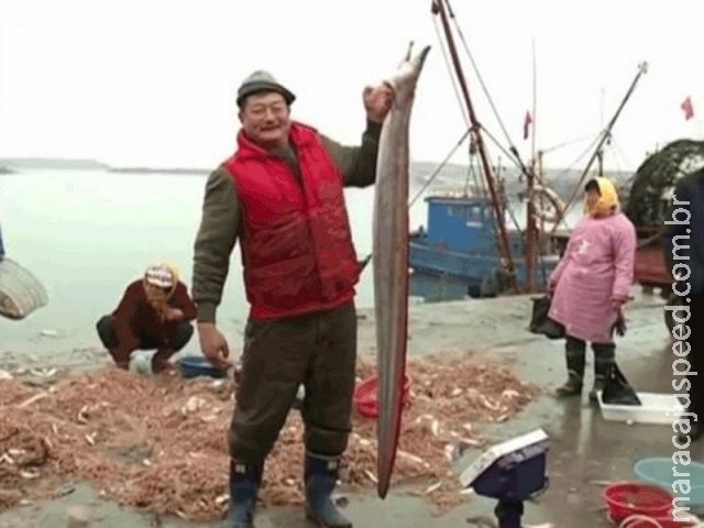  Pescador chinês fisga enguia de quase 2 metros