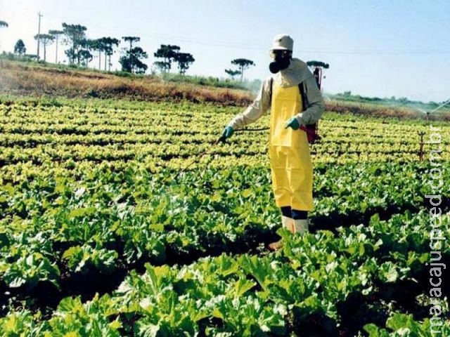 Locais para armazenamento de agrotóxicos deverão ser regulamentados Locais para armazenamento de agrotóxicos deverão ser regulamentados