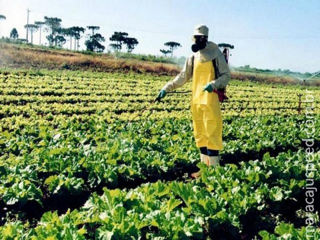 Locais para armazenamento de agrotóxicos deverão ser regulamentados