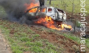 Jovem de 24 anos morre carbonizado após carro colidir em árvore