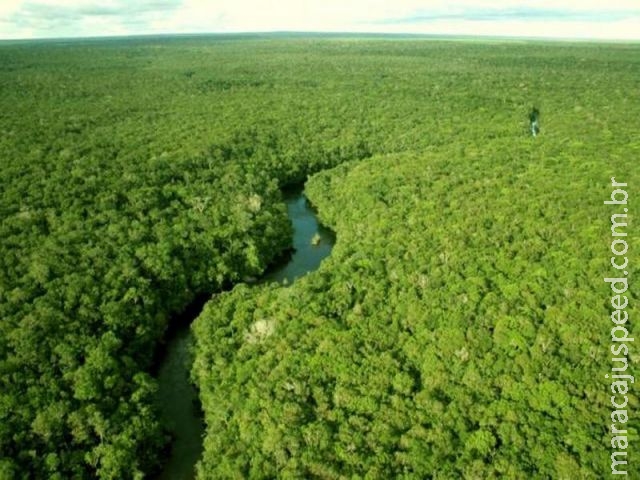 Projeto Opções vai apresentar tecnologia de baixo carbono a setores econômicos Projeto Opções vai apresentar tecnologia de baixo carbono a setores econômicos