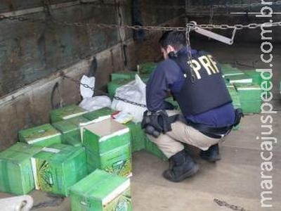 PRF apreende carga de agrotóxico avaliada em mais de R$ 300 mil