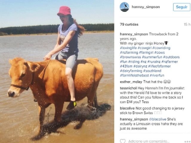  Neozelandesa faz sucesso na Web ao pular obstáculos montando vaca