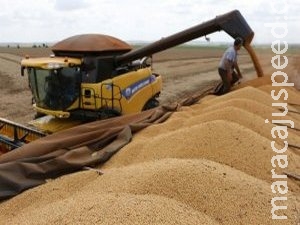 MS é o único estado do Brasil com saldo positivo de empregos MS é o único estado do Brasil com saldo positivo de empregos