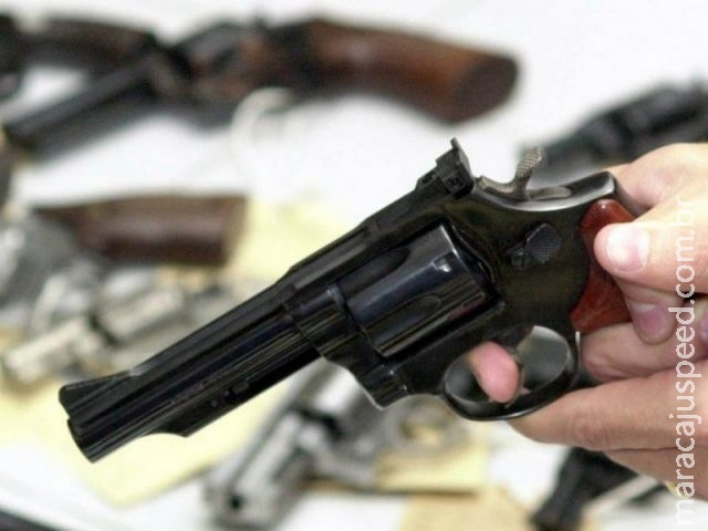 Armas de fogo apreendidas serão doadas a órgãos de segurança pública Armas de fogo apreendidas serão doadas a órgãos de segurança pública