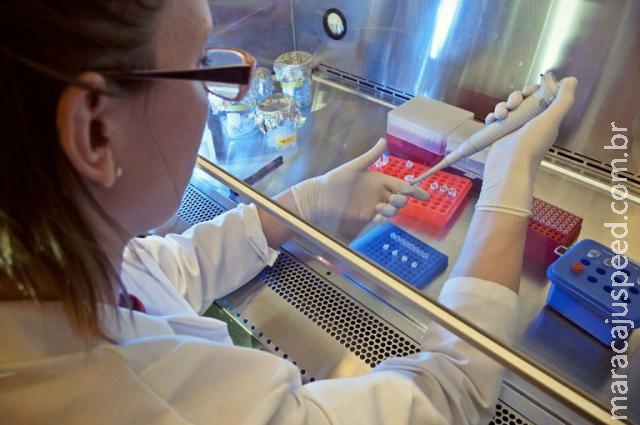 Laboratório para produção de medicamentos biológicos é inaugurado