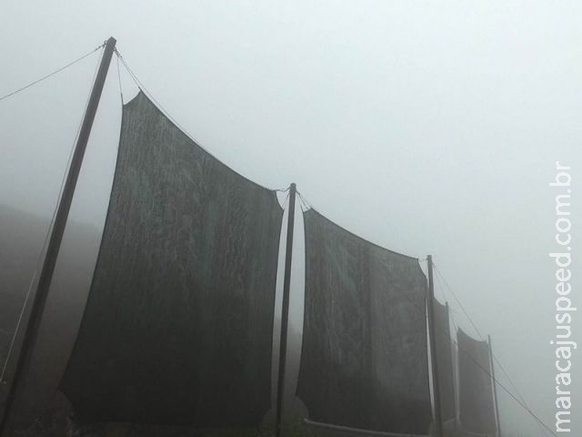  Peruanos estendem tecidos em montanhas para captar água de neblina