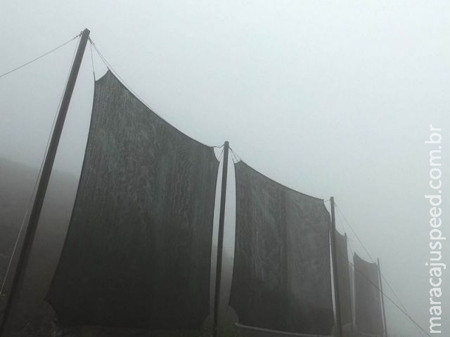 Peruanos estendem tecidos em montanhas para captar água de neblina Peruanos estendem tecidos em montanhas para captar água de neblina