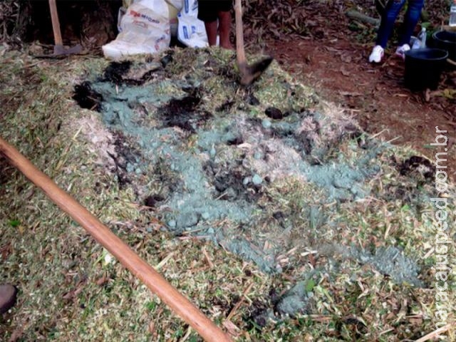 Resíduos orgânicos enriquecidos com minerais geram adubos de qualidade