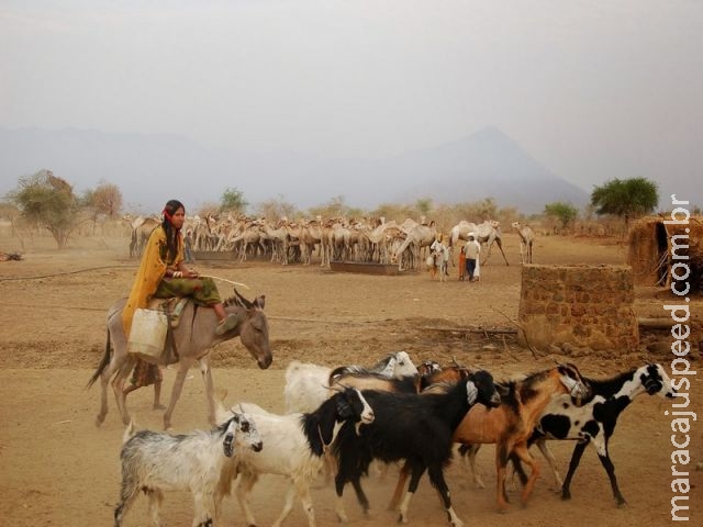 Sudão pode ser primeiro país a se tornar inabitável devido a mudanças climáticas Sudão pode ser primeiro país a se tornar inabitável devido a mudanças climáticas