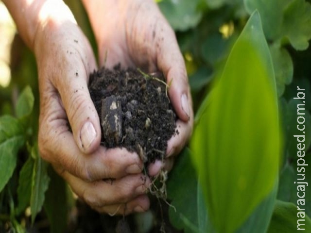 Mercado brasileiro de fertilizantes reage e cresce 10% sobre 2015 Mercado brasileiro de fertilizantes reage e cresce 10% sobre 2015