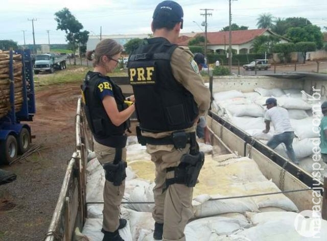 Motorista pula de carreta e abandona 6 toneladas de maconha