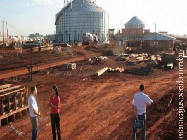 Obra de indústria de óleo será lançada nesta terça Obra de indústria de óleo será lançada nesta terça