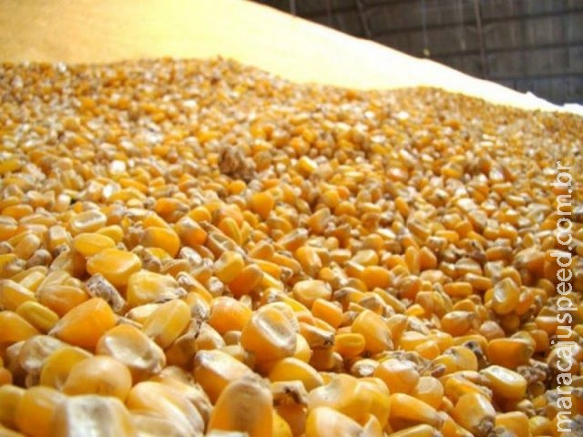 Venda de estoques e ofertas de subvenção garantiram renda ao produtor em 2016 Venda de estoques e ofertas de subvenção garantiram renda ao produtor em 2016