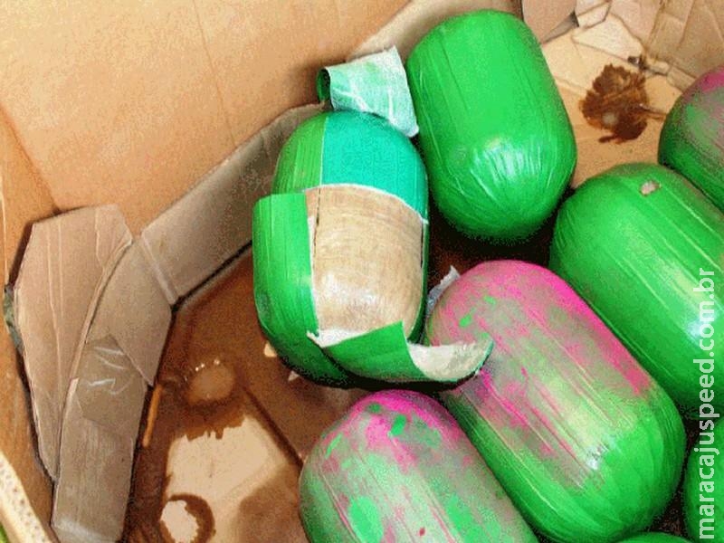 Agentes apreendem maconha disfarçada como melancias nos EUA Agentes apreendem maconha disfarçada como melancias nos EUA