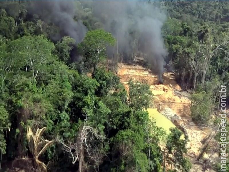  Área intacta da paisagem florestal mundial caiu mais de 7% em 13 anos