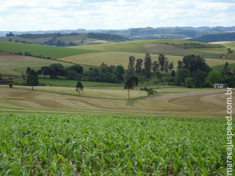 Certificado de Cadastro de Imóvel Rural pode ser pago sem multas até sábado (14) Certificado de Cadastro de Imóvel Rural pode ser pago sem multas até sábado (14)