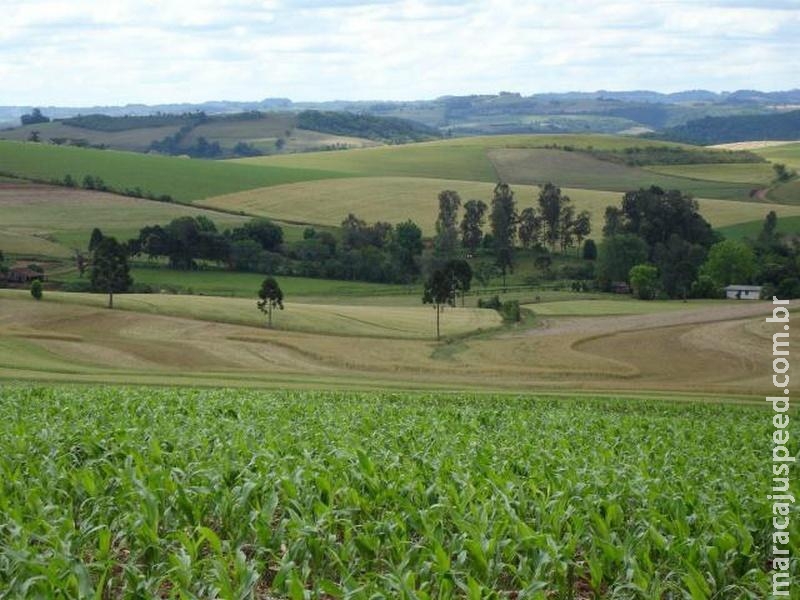 Certificado de Cadastro de Imóvel Rural pode ser pago sem multas até sábado (14)