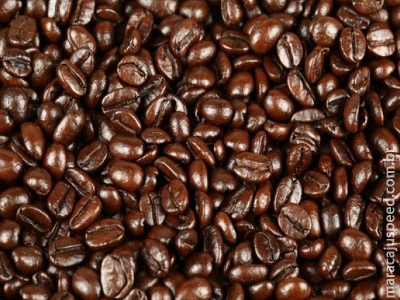 Conab recomeça leilões de venda de café arábica