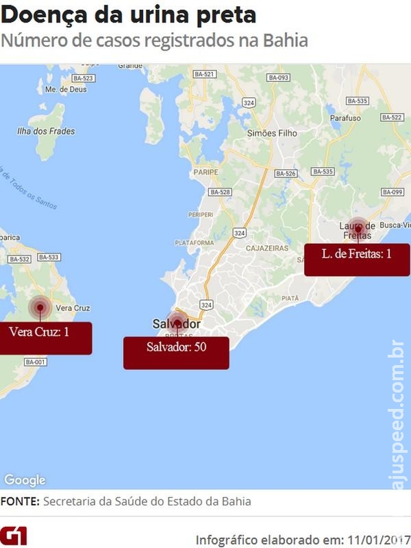 Doença da urina preta na Bahia: o que sabemos até agora Doença da urina preta na Bahia: o que sabemos até agora