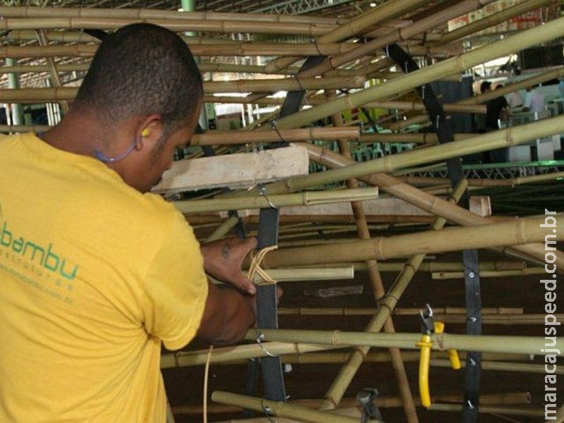 Estudo apresenta os avanços do Brasil em práticas sustentáveis Estudo apresenta os avanços do Brasil em práticas sustentáveis