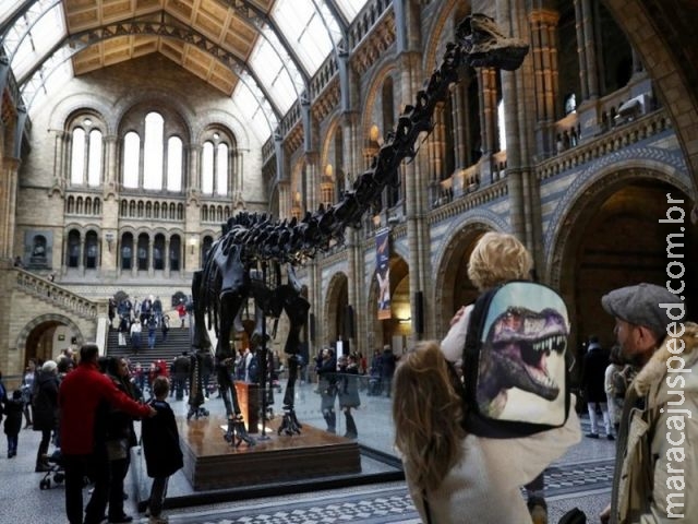 Museu de Londres se despede do dinossauro Dippy Museu de Londres se despede do dinossauro Dippy