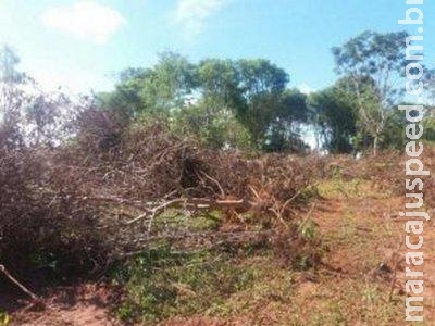 Invasor de fazenda é multado em R$ 42 mil por desmatar área protegida Invasor de fazenda é multado em R$ 42 mil por desmatar área protegida