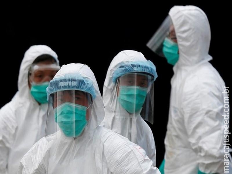 OMS pede que países intensifiquem monitoramento de gripe aviária OMS pede que países intensifiquem monitoramento de gripe aviária