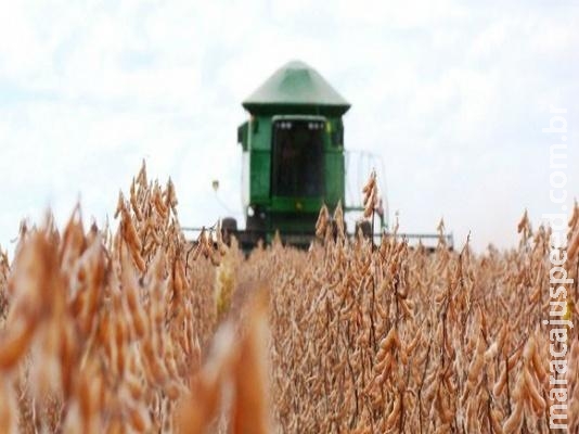 Pela primeira vez, Mato Grosso do Sul sedia maior evento de colheita do País Pela primeira vez, Mato Grosso do Sul sedia maior evento de colheita do País