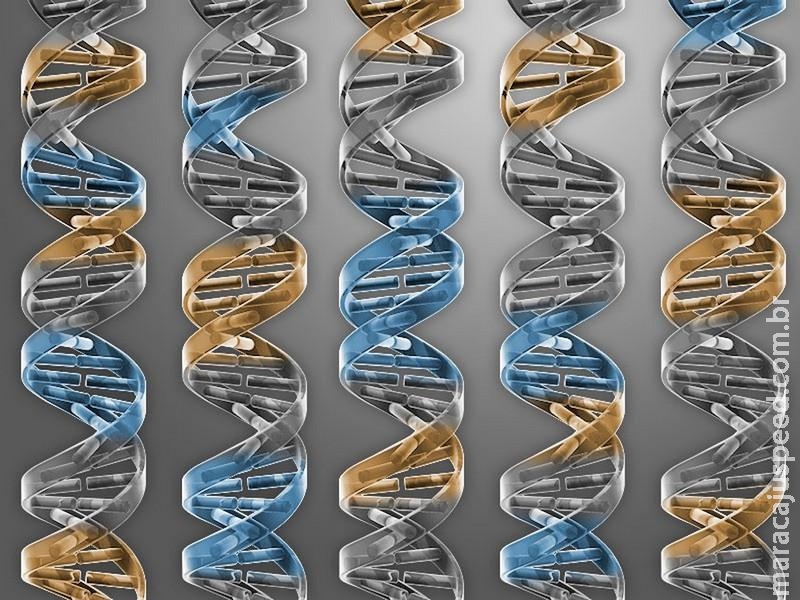 Pesquisadores corrigem doença rara com nova técnica de edição do DNA Pesquisadores corrigem doença rara com nova técnica de edição do DNA