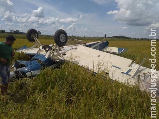 Polícia incinera 384 quilos de droga encontrada em avião que caiu no Paraná 