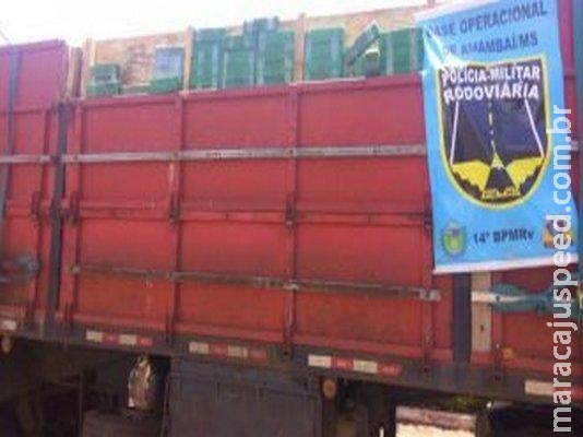 Polícia Militar Rodoviária apreende cerca de 1,1 tonelada de maconha na MS-156