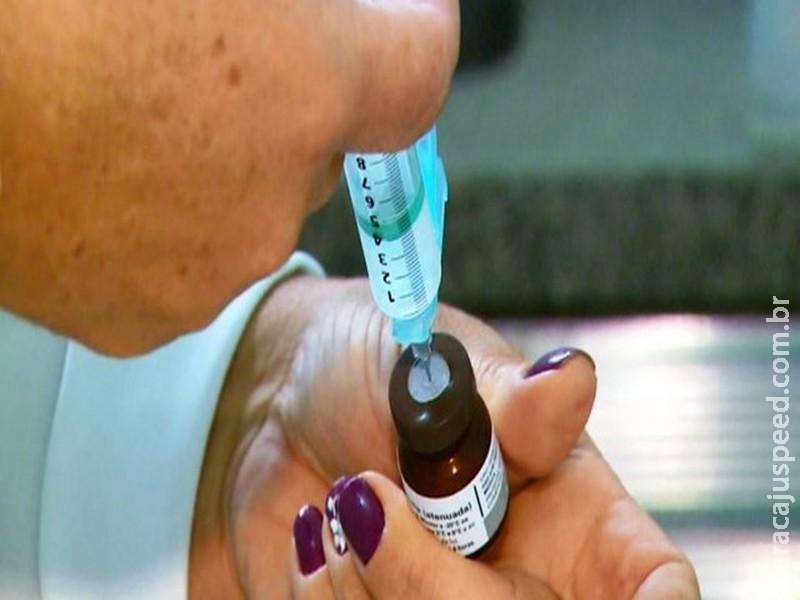 Saiba quais são as cidades em que a vacinação contra a febre amarela é recomendada Saiba quais são as cidades em que a vacinação contra a febre amarela é recomendada