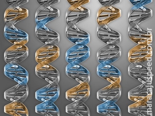  Academias de Ciências e de Medicina dos EUA admitem edição genética de embriões humanos no futuro