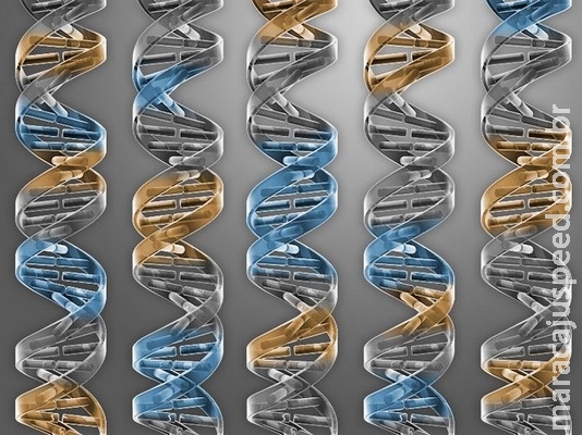 Academias de Ciências e de Medicina dos EUA admitem edição genética de embriões humanos no futuro Academias de Ciências e de Medicina dos EUA admitem edição genética de embriões humanos no futuro