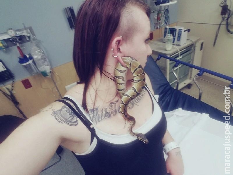 Americana fica com cobra de estimação presa em buraco na orelha Americana fica com cobra de estimação presa em buraco na orelha