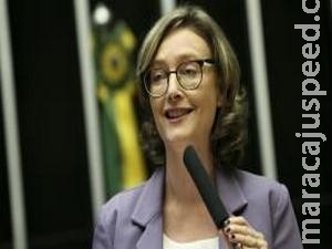 Câmara aprova criação de sistema de garantias para crianças vítimas de violência Câmara aprova criação de sistema de garantias para crianças vítimas de violência
