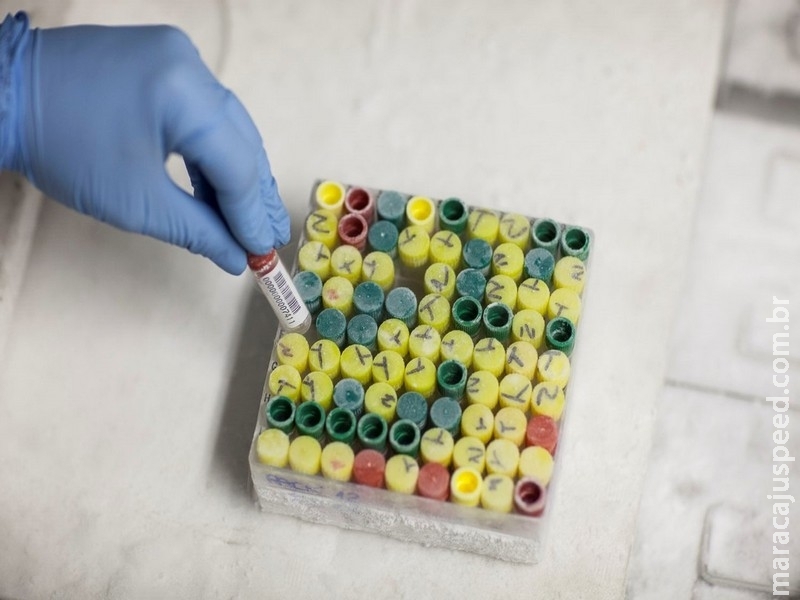 Cientistas brasileiros participam de desafio para descobrir fatores ambientais relacionados ao câncer Cientistas brasileiros participam de desafio para descobrir fatores ambientais relacionados ao câncer