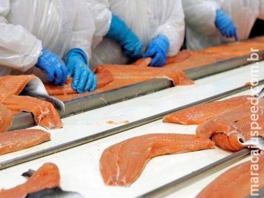 Estudo afirma que vitamina D protege contra gripes e resfriados Estudo afirma que vitamina D protege contra gripes e resfriados