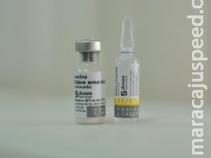 Exame descarta febre amarela em caminhoneiro que passou por MS Exame descarta febre amarela em caminhoneiro que passou por MS